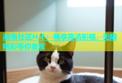 海角社区HJE：畅享高清影视，无限精彩等你发现