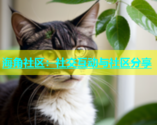 海角社区：社交互动与社区分享