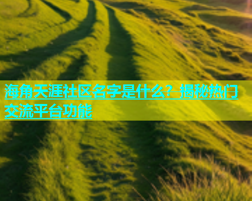 海角天涯社区名字是什么？揭秘热门交流平台功能