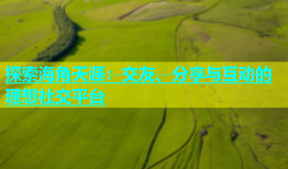 探索海角天涯：交友、分享与互动的理想社交平台