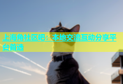 上海角社区吧：本地交流互动分享平台首选