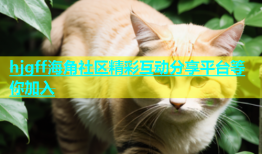 hjgff海角社区精彩互动分享平台等你加入