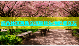 海角社区互动交流聚焦生活消费交友