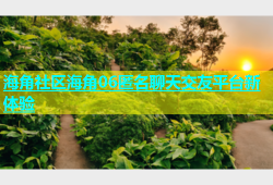 海角社区海角06匿名聊天交友平台新体验