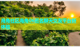 海角社区海角06匿名聊天交友平台新体验