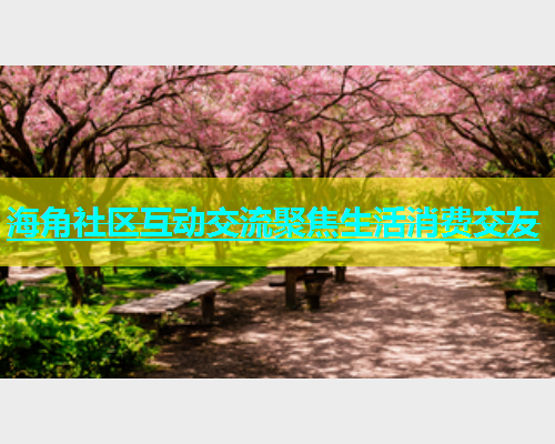 海角社区互动交流聚焦生活消费交友